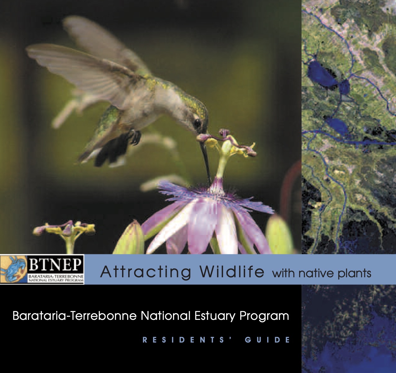 Attracting Wildlife with Native Plants cover