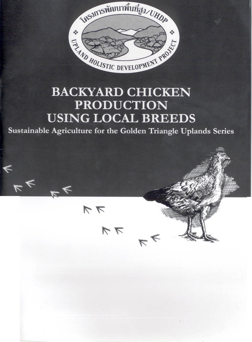 Backyard Chicken cover