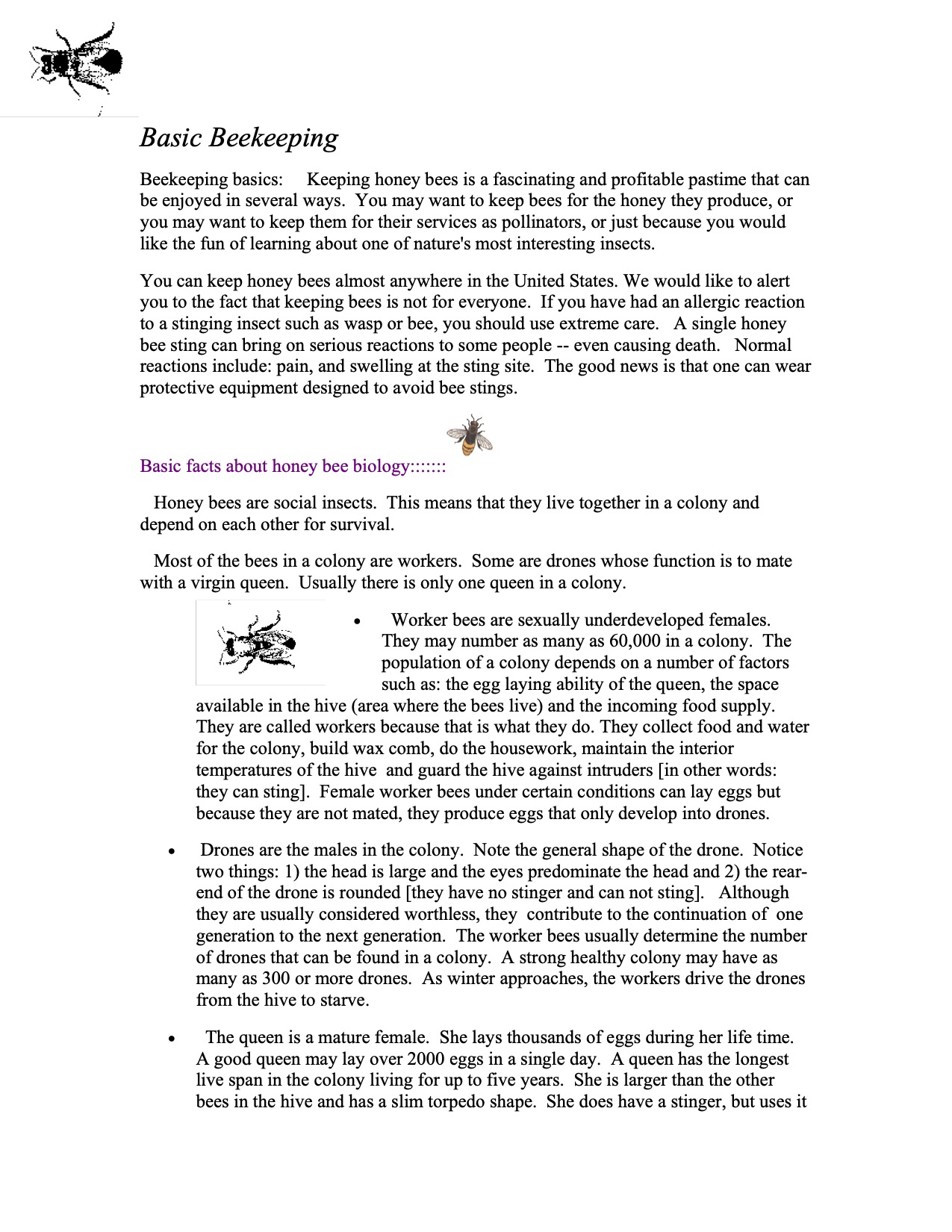 Beekeeping Basics cover