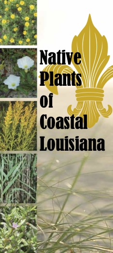 Native Plants Coastal Louisiana Cover