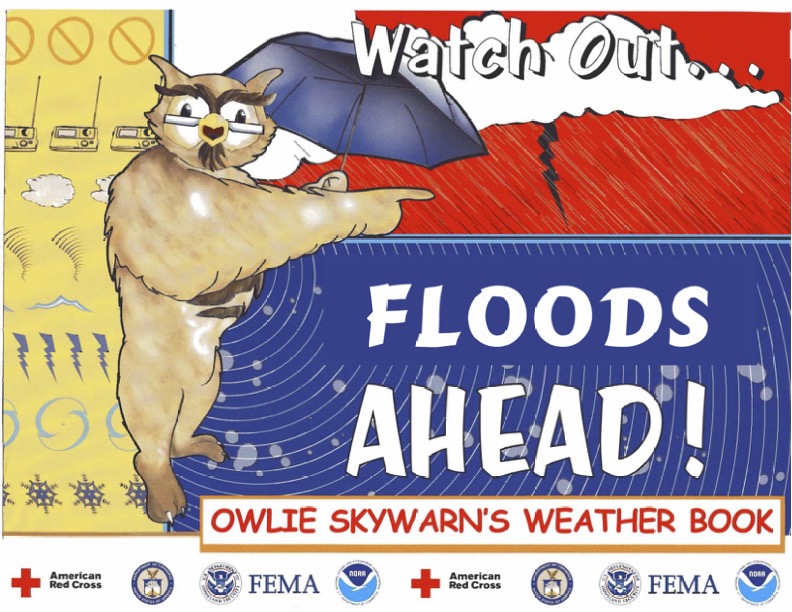 Owlie: Floods Ahead! Weather Book cover