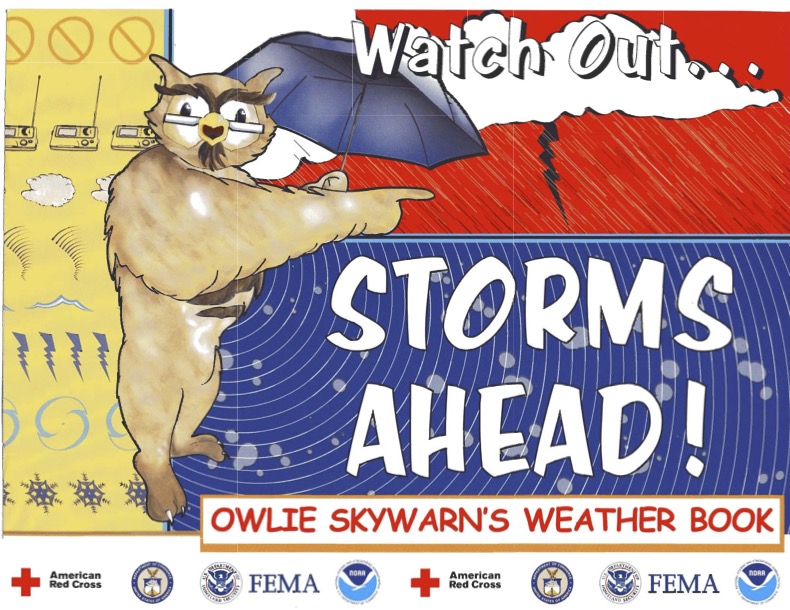 Owlie: Storms Ahead cover