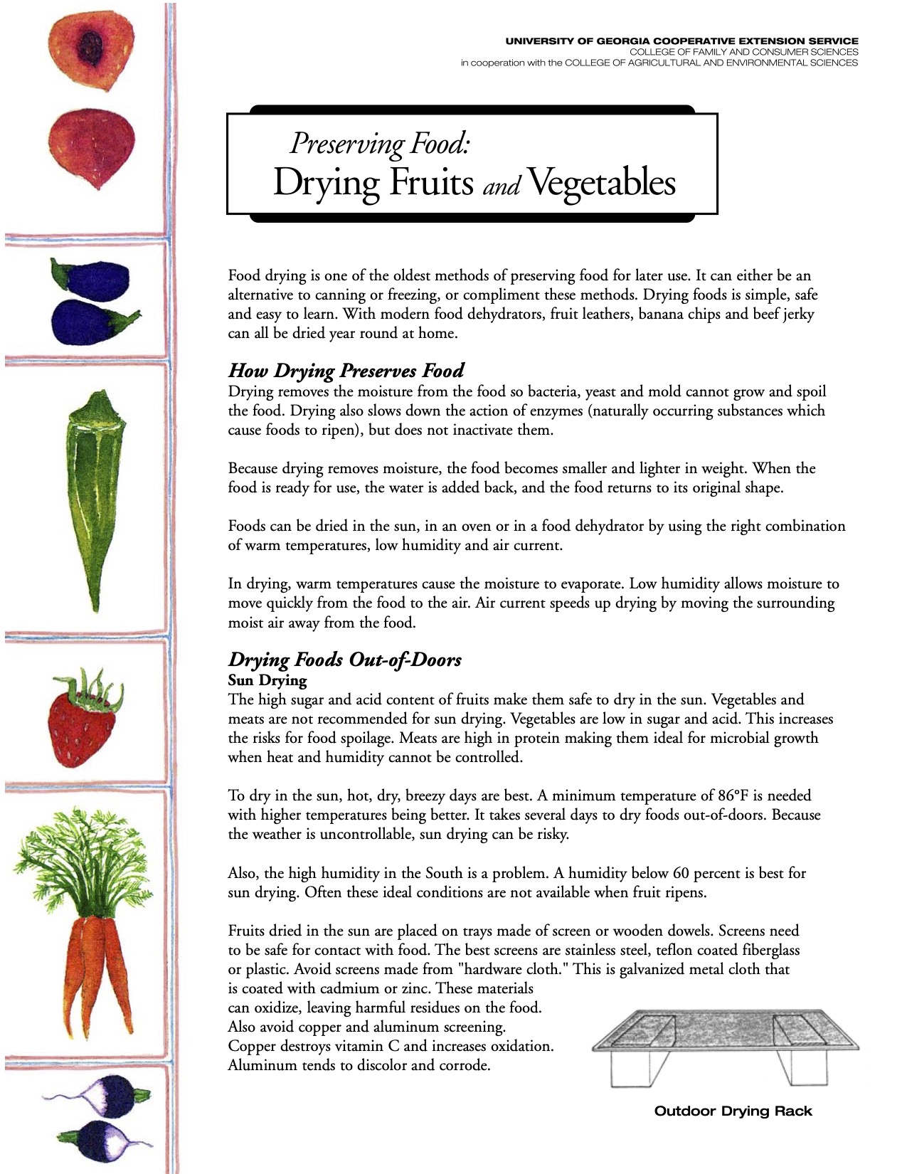 Preserving Food: Drying Fruits & Vegetables cover